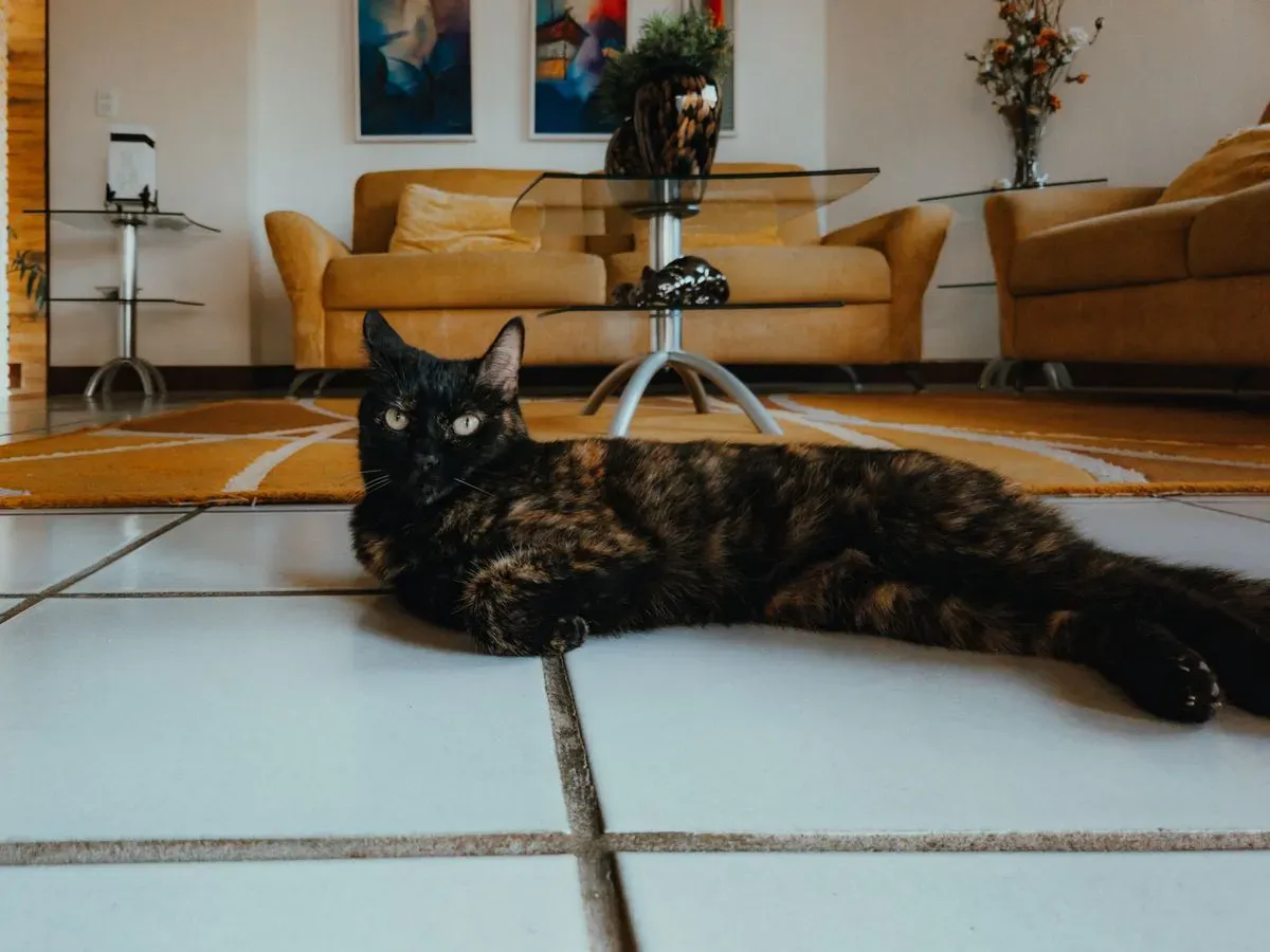 A tortoiseshell cat lounging on a tiled floor in a bright modern living room